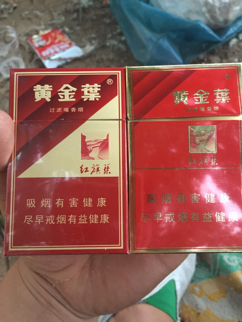 河南的烟民!金渠改版啦!