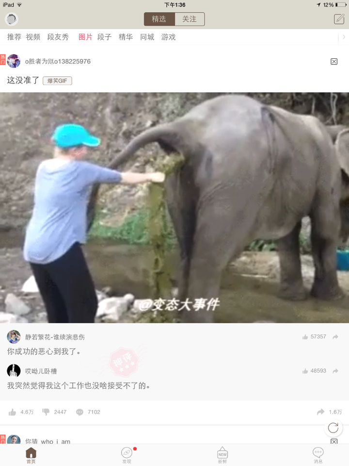 大象拉大便 - 男神柯志豪的快手