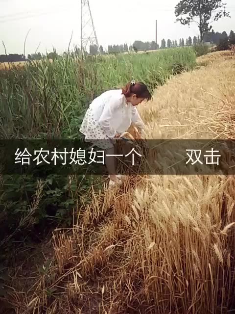 快手直播