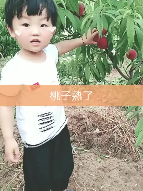 快手直播