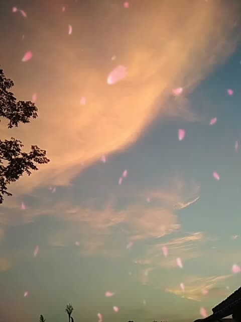 快手直播