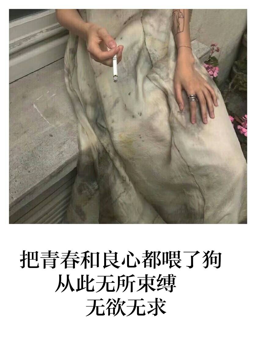 把青春和良心都喂了狗  从此无所束缚   无欲无求 2年前