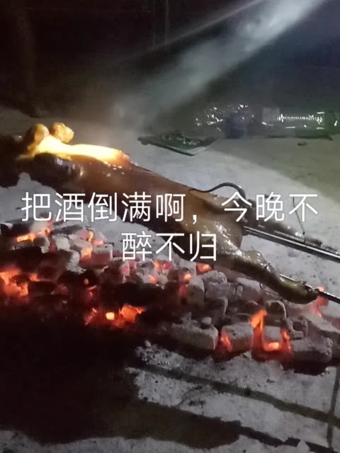 今晚不醉不归 797       赞                   评论