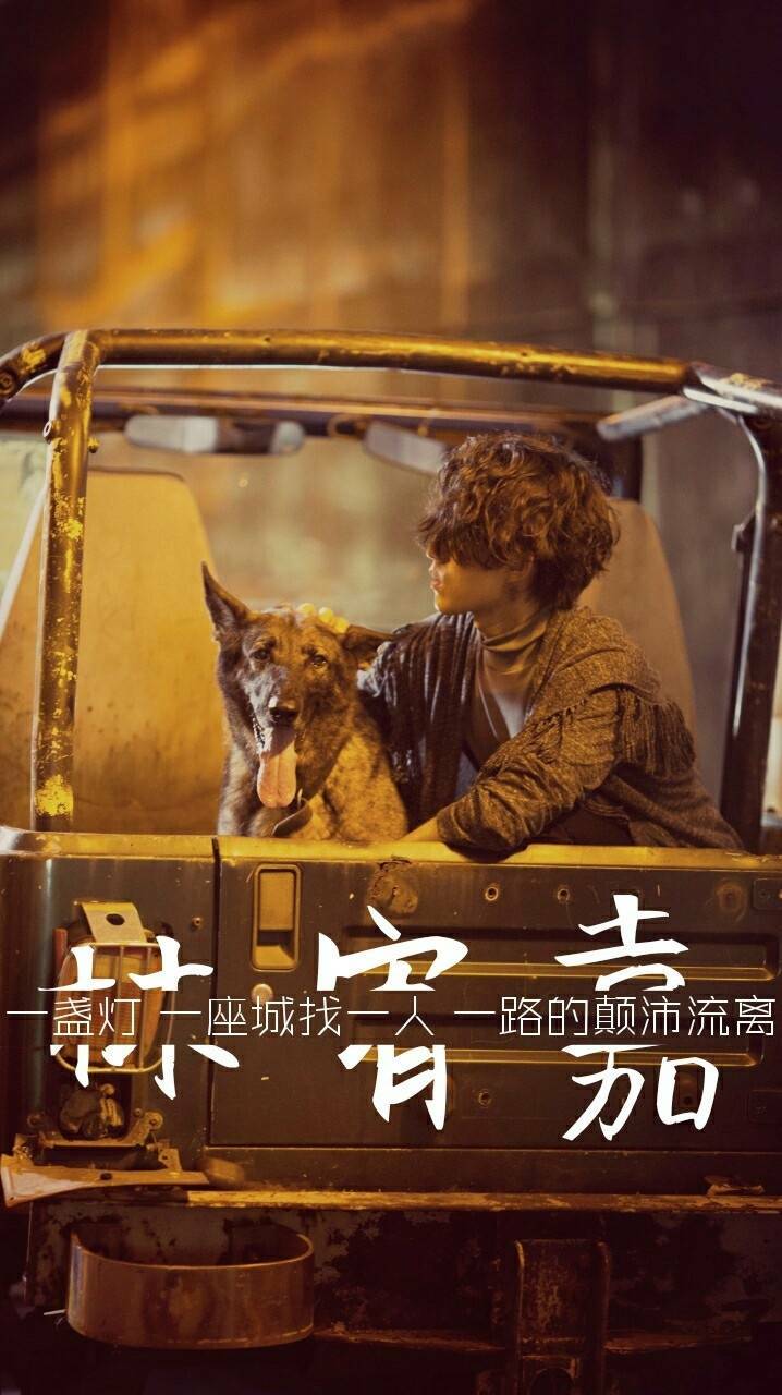 79 一盏灯一座城一人一路的颠沛流离 - 只为遇见的
