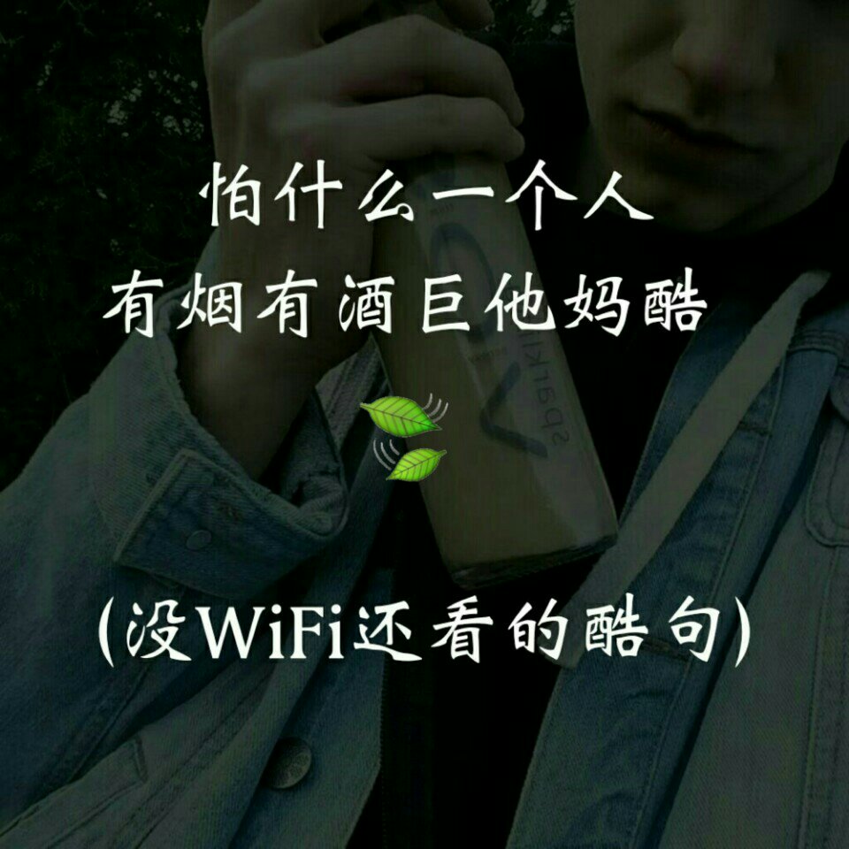 快手,记录世界 记录你
