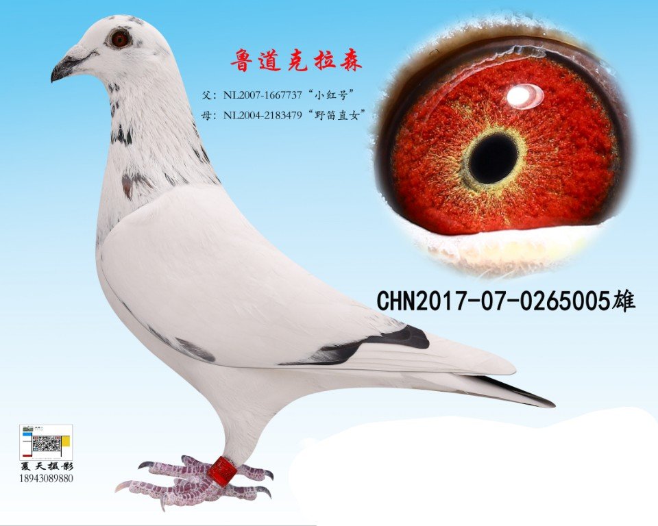 内蒙古～金翔分舵3月前