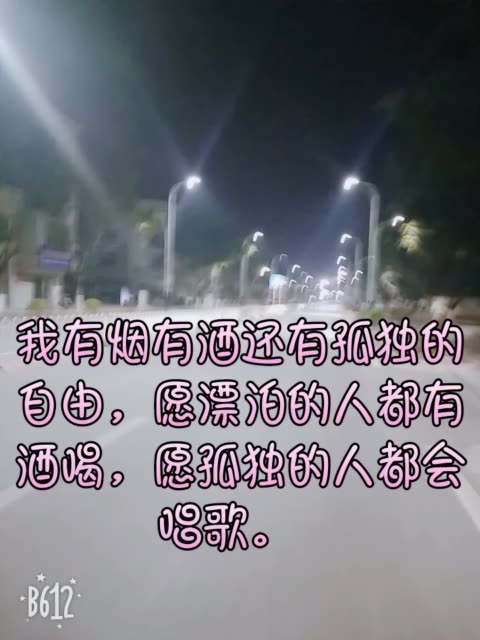 我有烟有酒还有孤独的自由,愿漂泊的人都有酒喝,愿孤独的人都会唱歌.