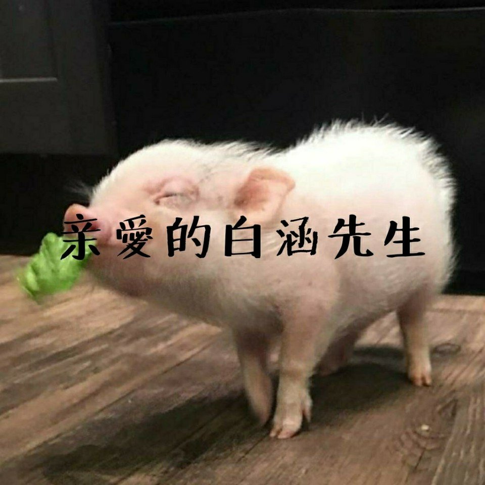 我亲爱的白涵先生,你在哪里 我很想你@王者荣耀纯白护·骚白@小纯白