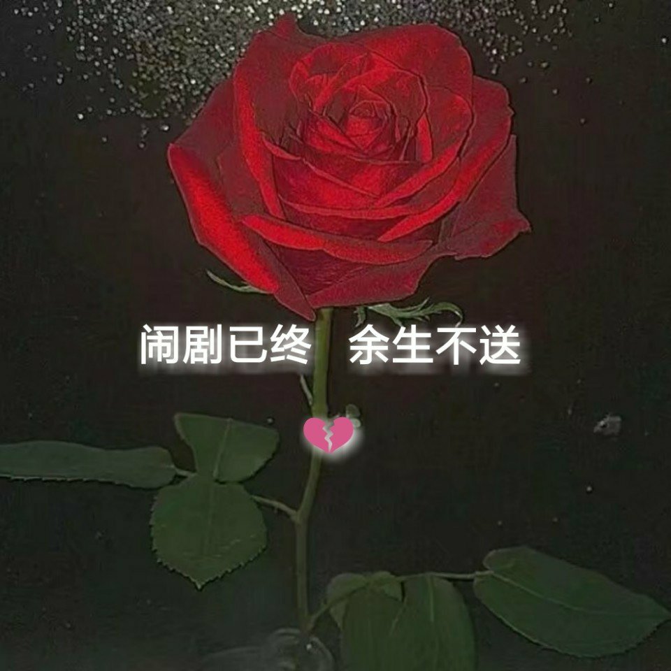 承蒙厚爱╯