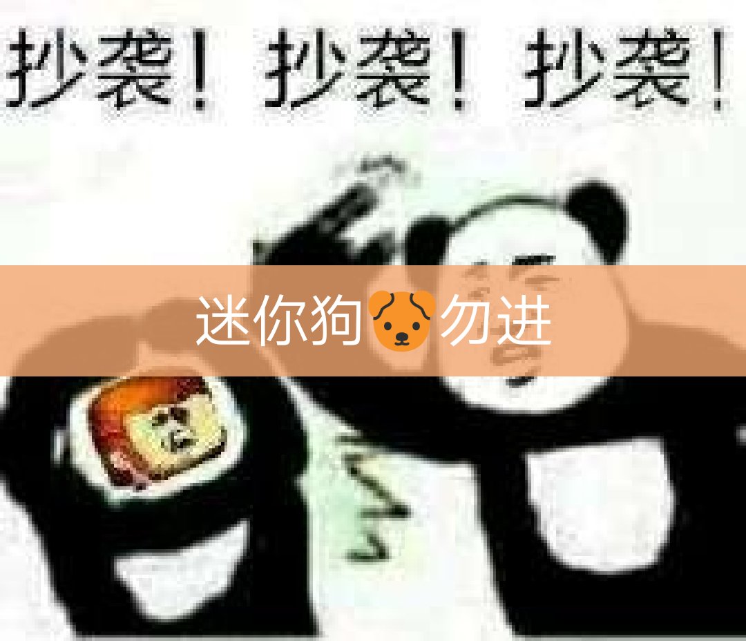 对你们这些迷你狗没有什么想说的