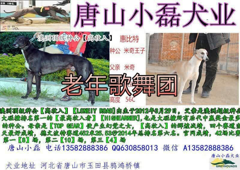 a唐山小磊犬业