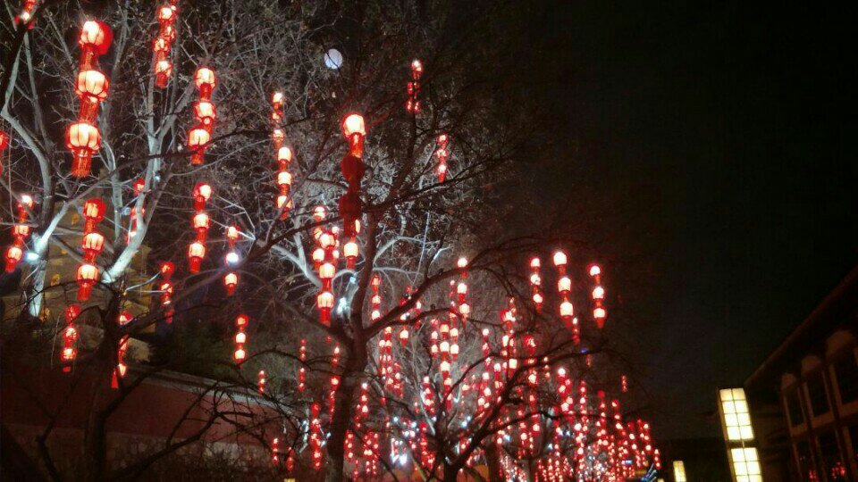 上元佳节,神武大街,惊鸿一瞥,百世沦陷.