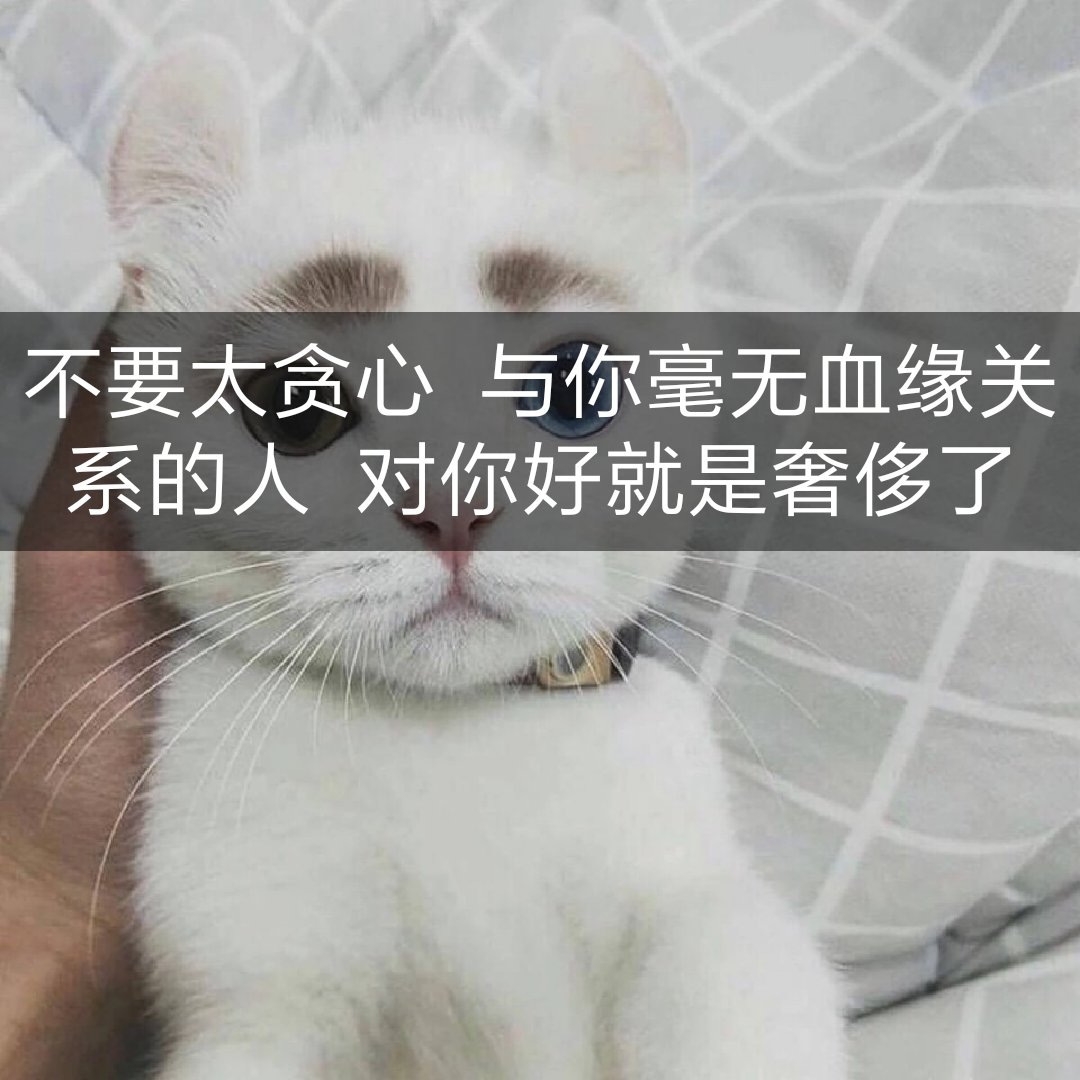 不要太贪心  与你毫无血缘关系的人  对你好就是奢侈了 102       赞