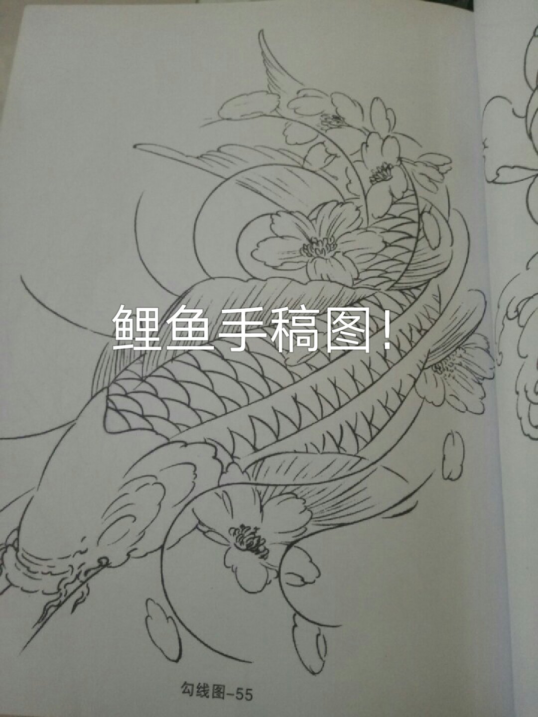 回复 岚蝶 tattoo:除了鲤鱼 其他的发一些 ronin5月前 半背鲤鱼路过