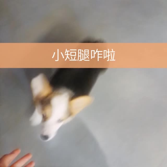 快手直播