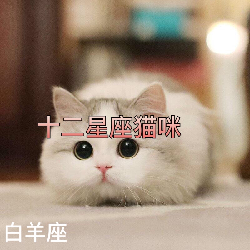 你们家有什么宠物呢99 - 北笙(十二星座)的快手