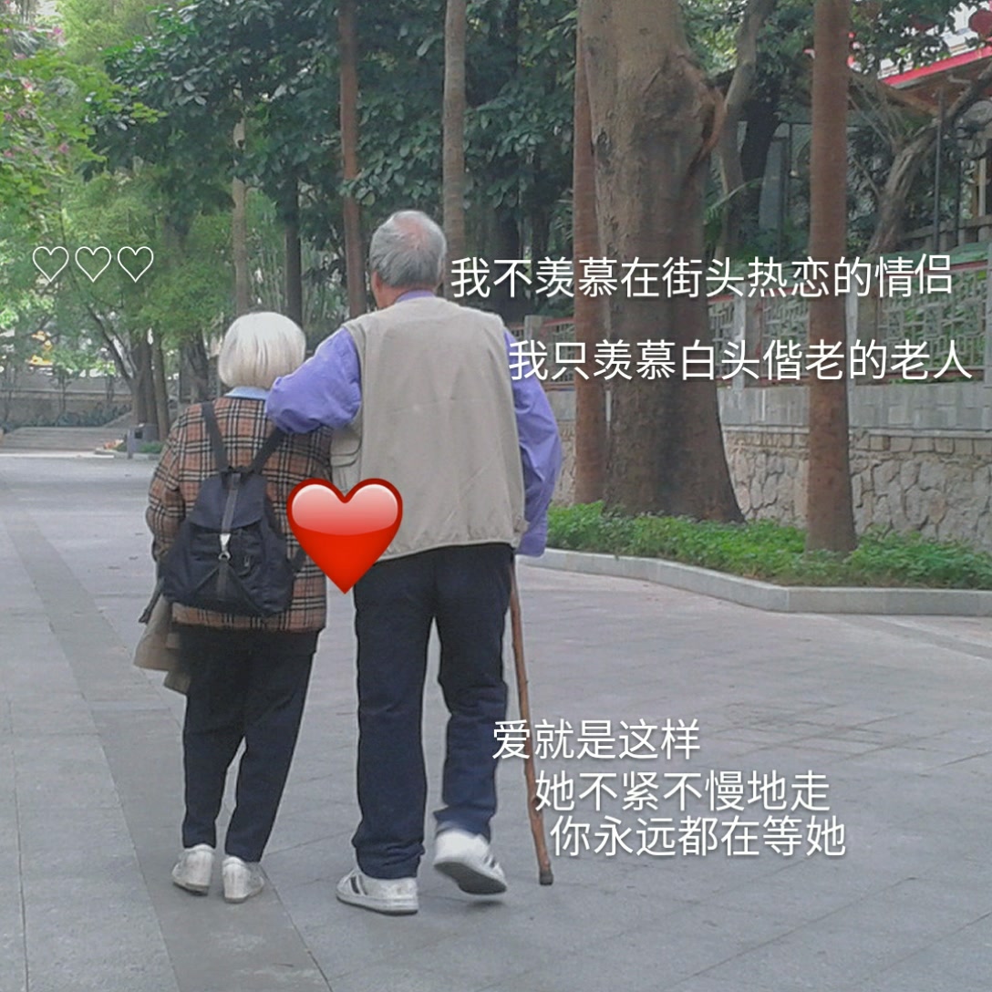 我不羡慕街头热恋的情侣 我只羡慕白头偕老的老人