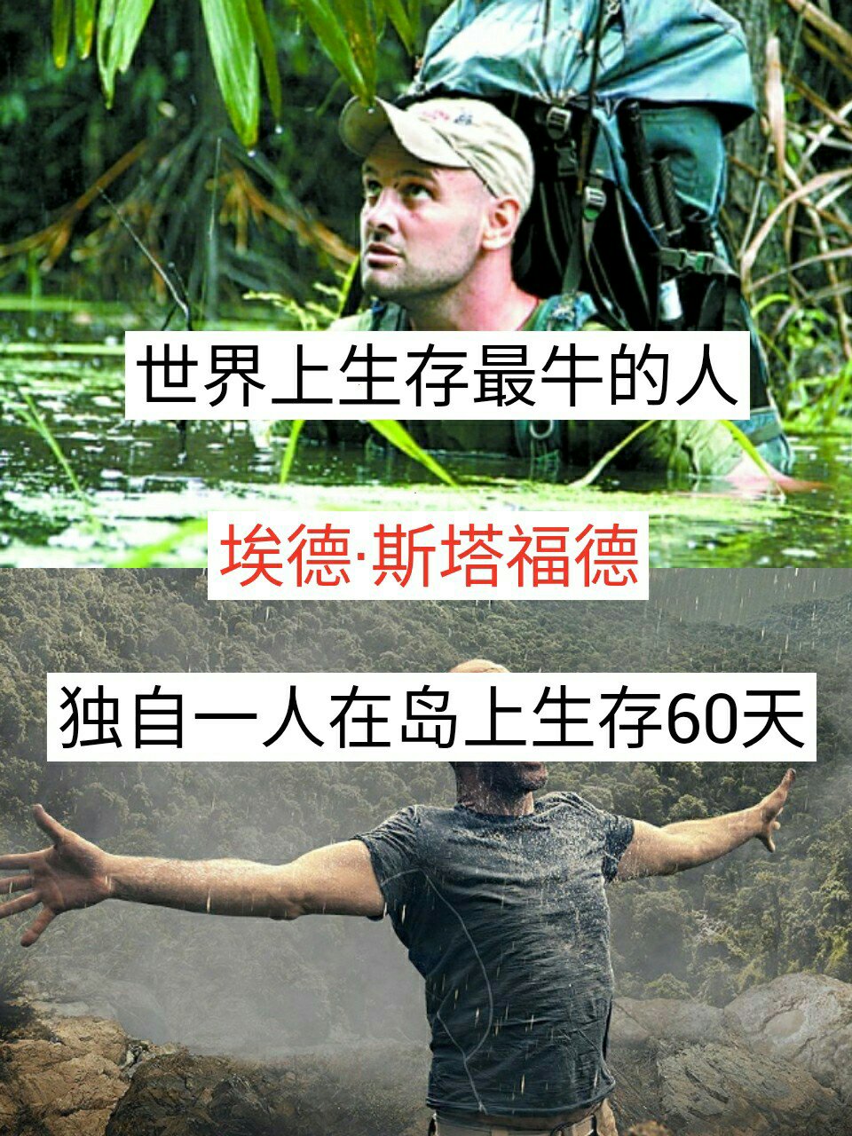 埃德·斯塔福德这种坚持不懈,毫不气馁的品质,令人!