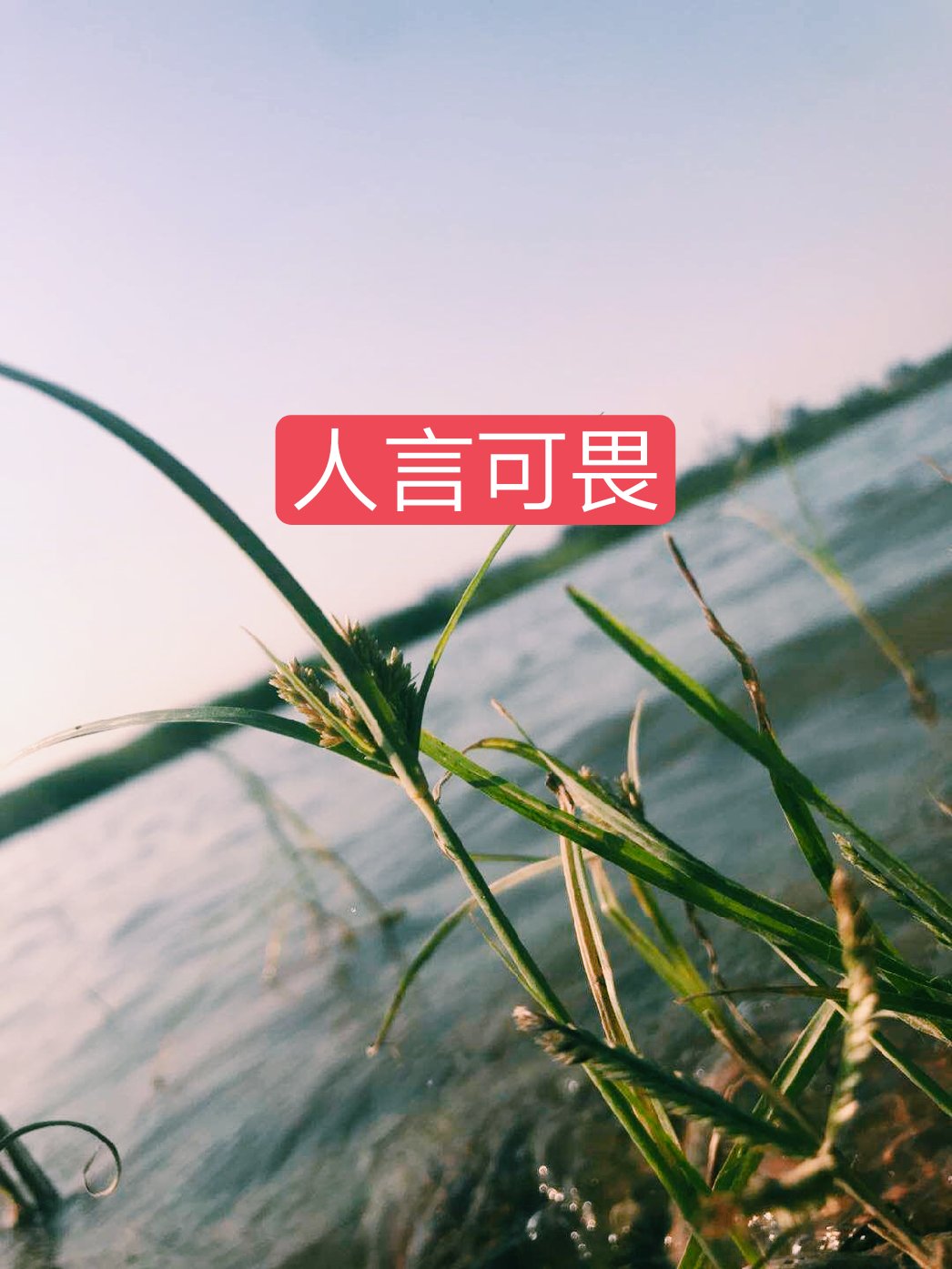 总以为清者自清!却忘了人言可畏! 5月前