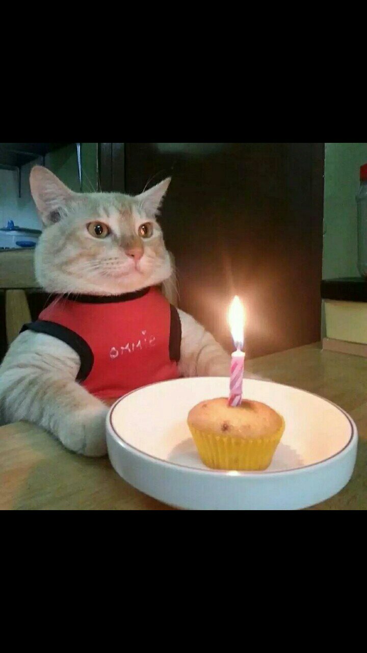 愿忠于自己活得潇洒走的也放肆           十八岁生日愿望 在你们身边