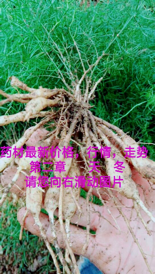 快手,记录世界 记录你