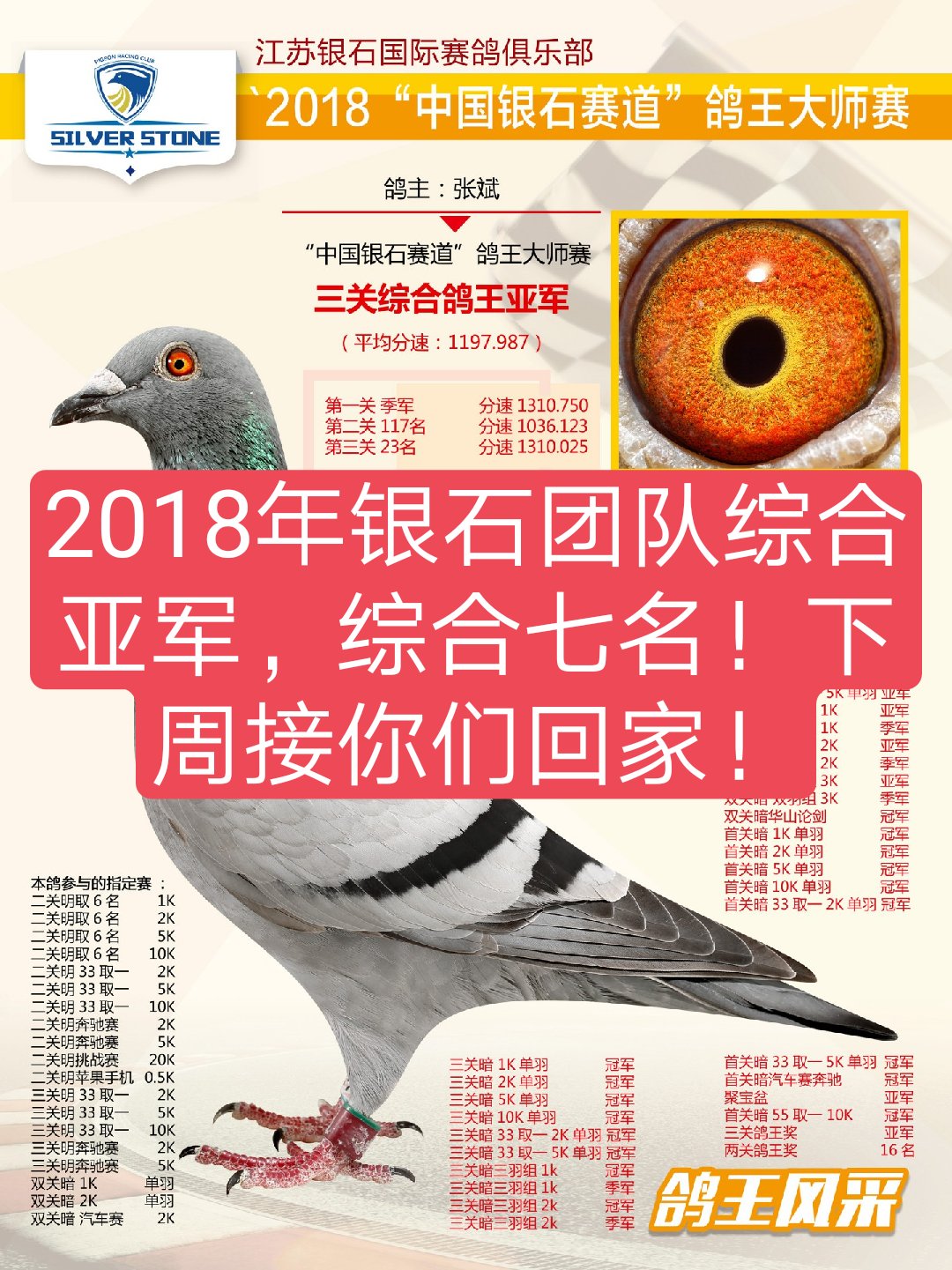 北京壹号鸽舍张斌