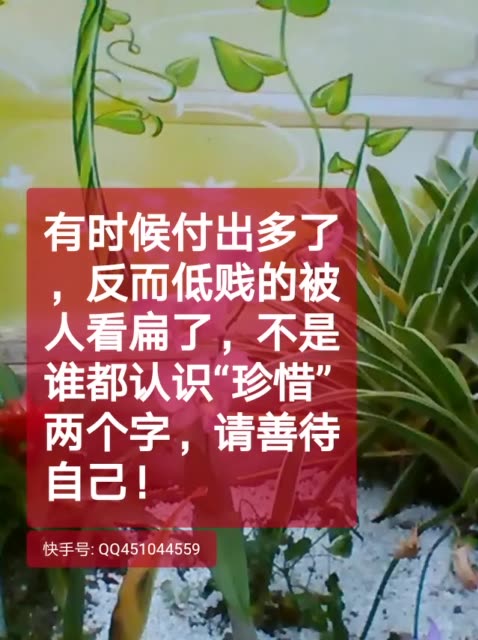 有时候付出多了,反而低贱的被人看扁了,不是谁都认识"珍惜"两个字,请