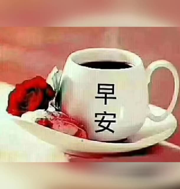 早安么么哒 2月前