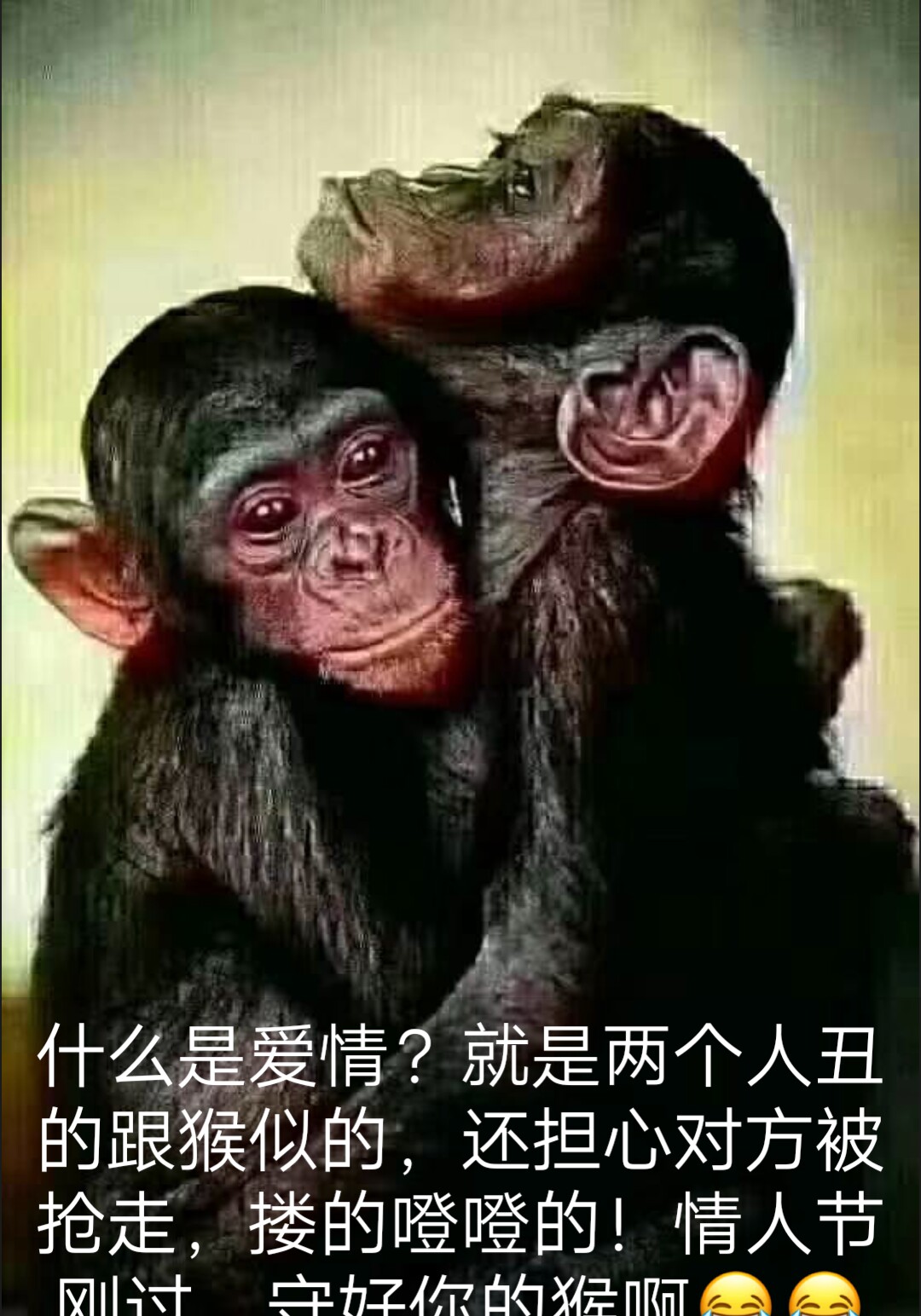 就是两个人丑的跟猴似的,还担心对方被抢走,搂的噔噔的!