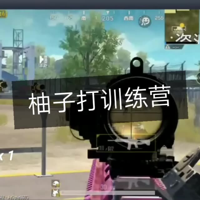 刺激战场柚子无敌直播回放