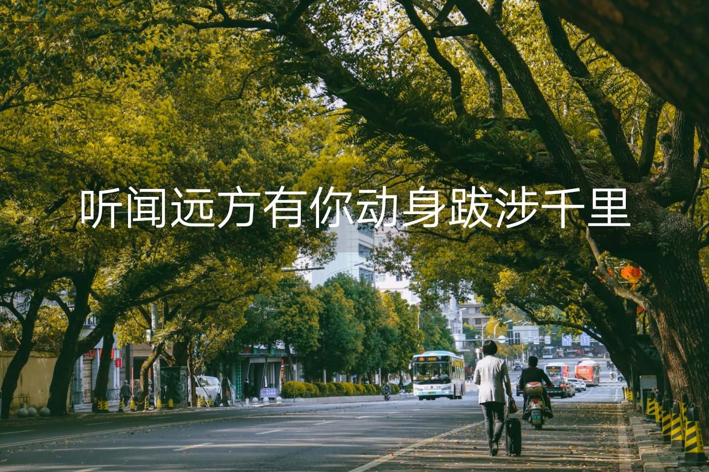 听闻远方有你,动身跋涉千里的你我 #调色 #热门 #摄影