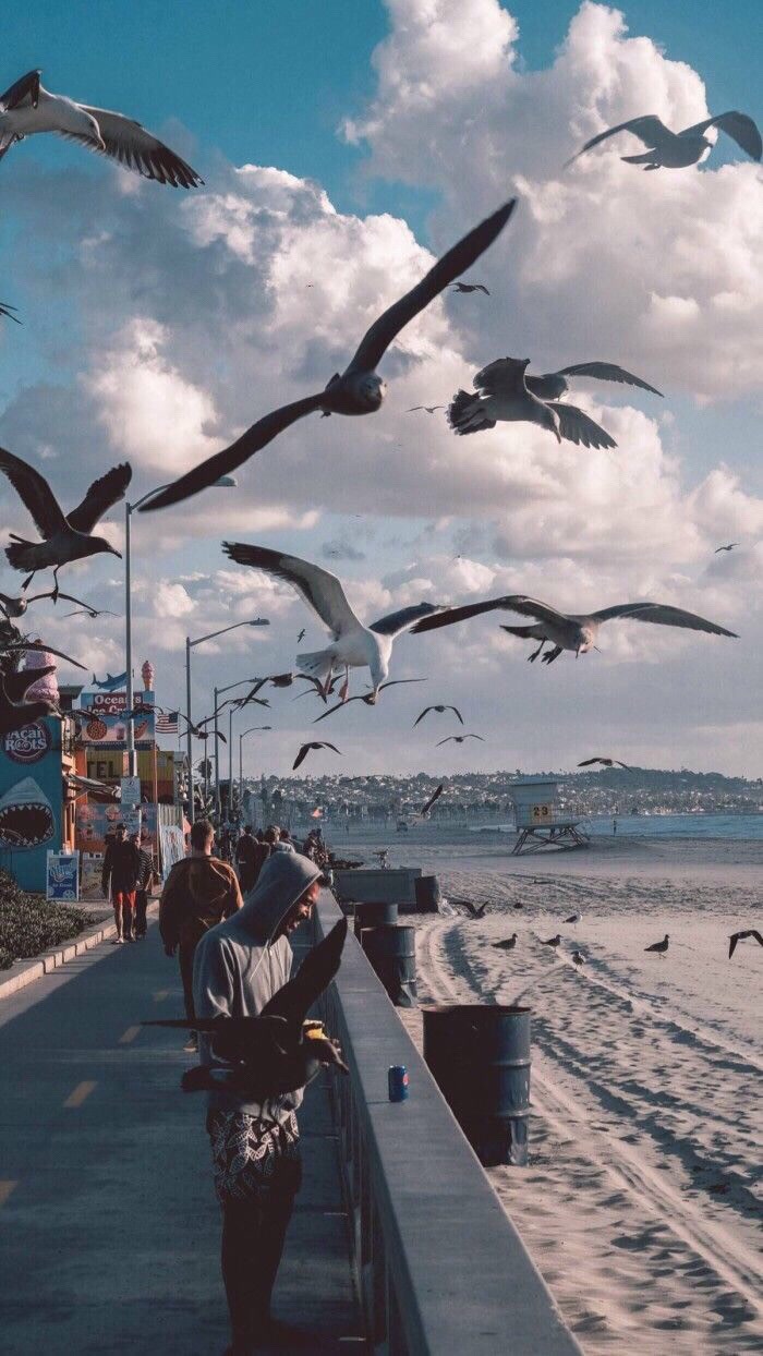 安子俊°(壁纸收集所)-快手直播