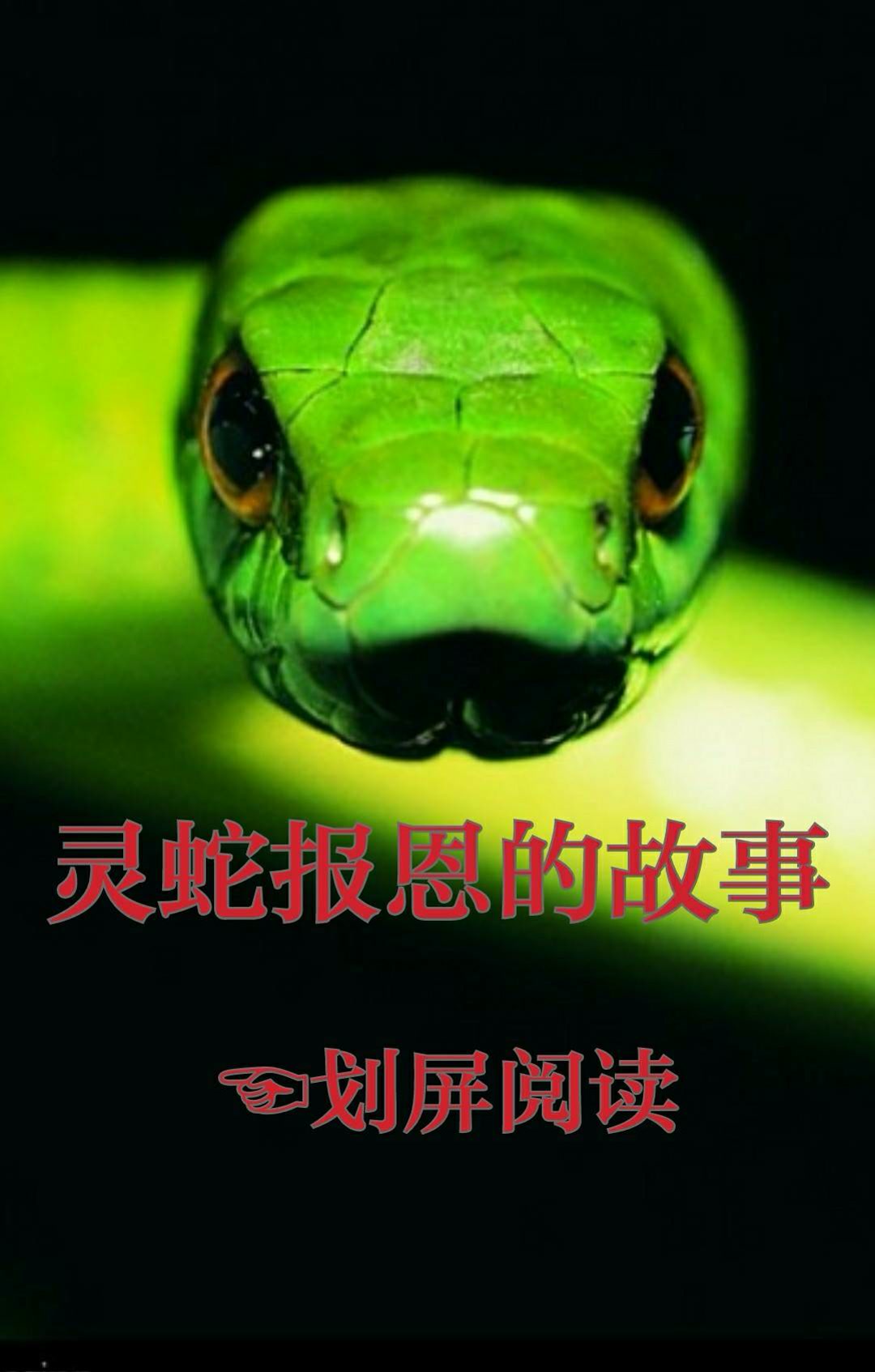 米哥文字故事-快手直播
