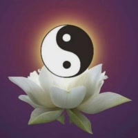 众弟子拜恩师 - 青丘94兴云的快手