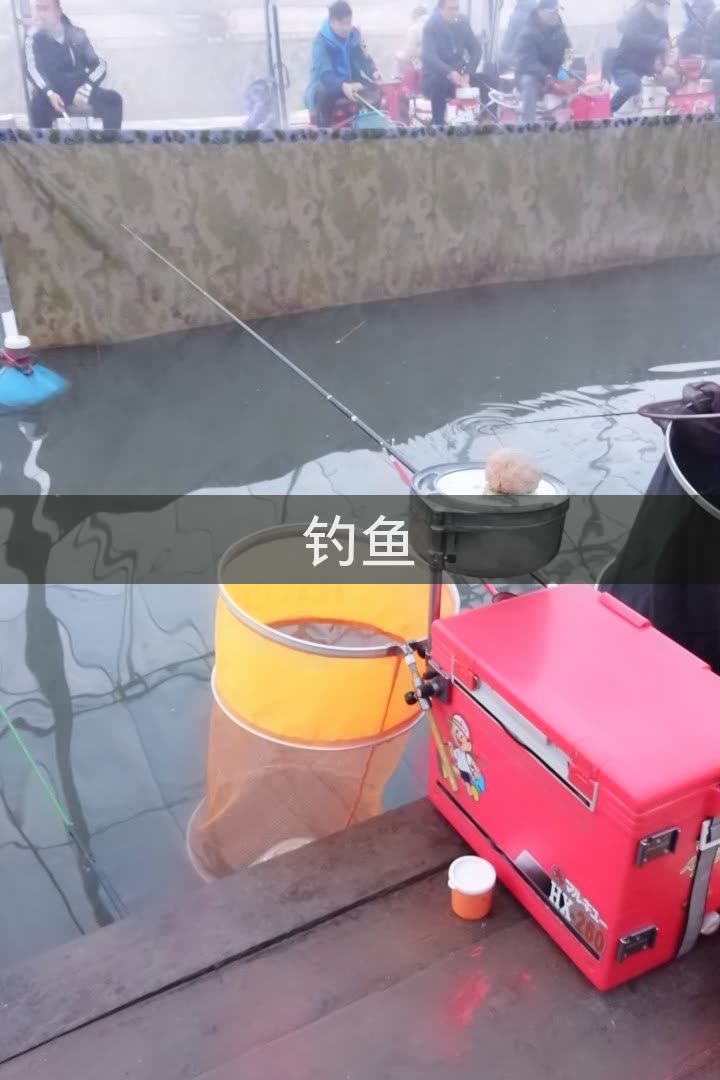 四海钓鱼雅文的快手直播