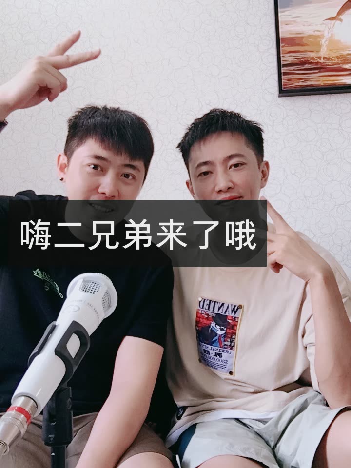 嗨二 兄弟的快手直播