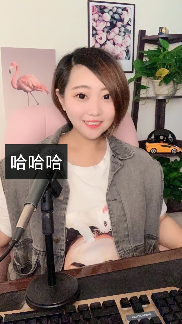 豆豆(张二嫂)的快手直播