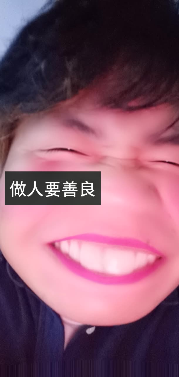老疯杨流浪动物救助中心的快手直播