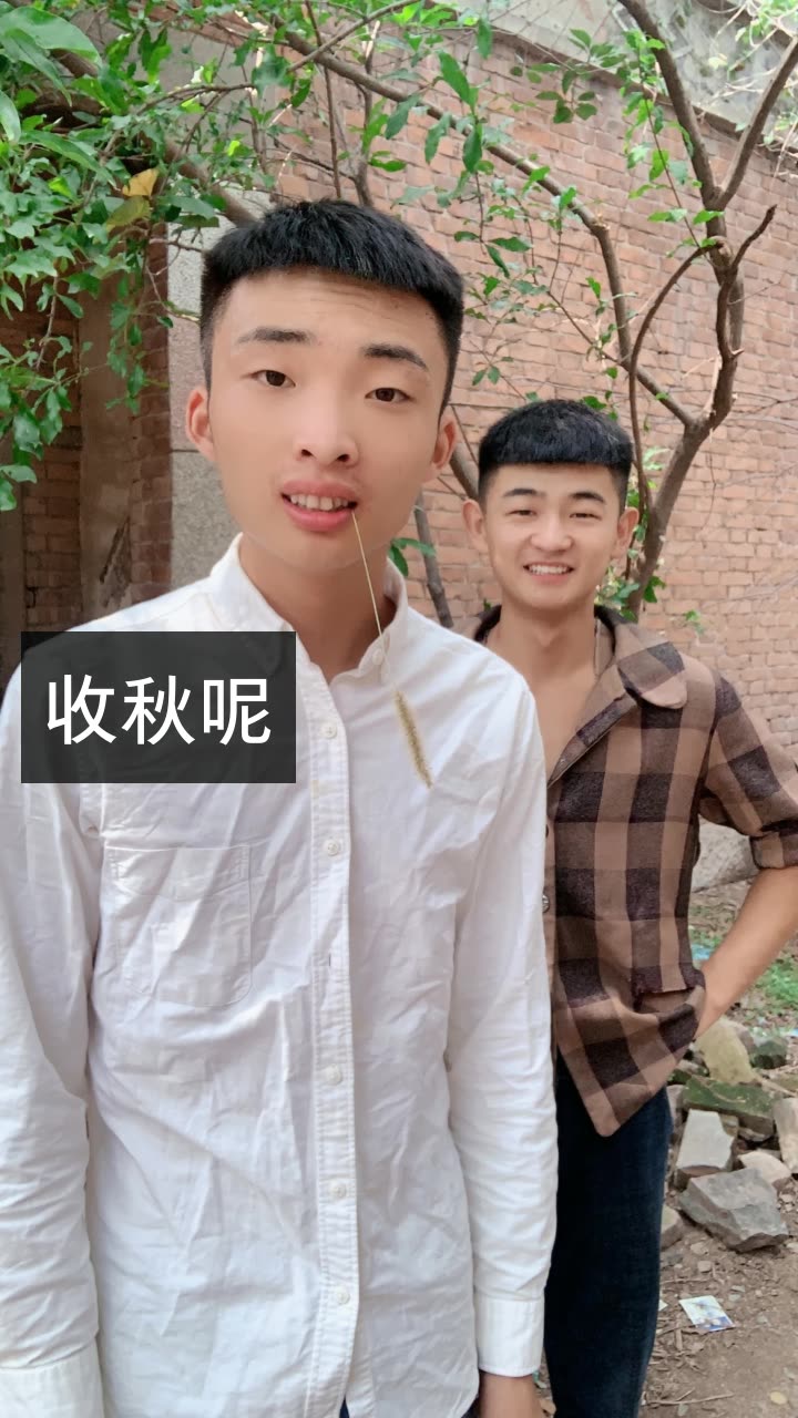 阳光你星哥骑猪大队96的快手直播