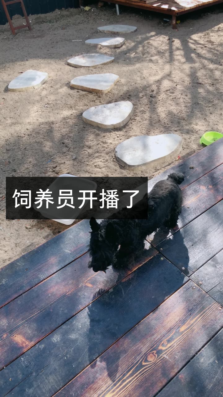 姜峰.各种玩的快手直播