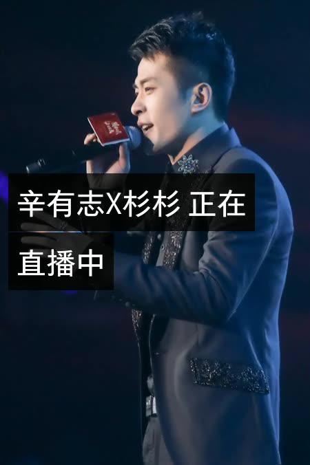 辛有志 辛巴 818的快手直播