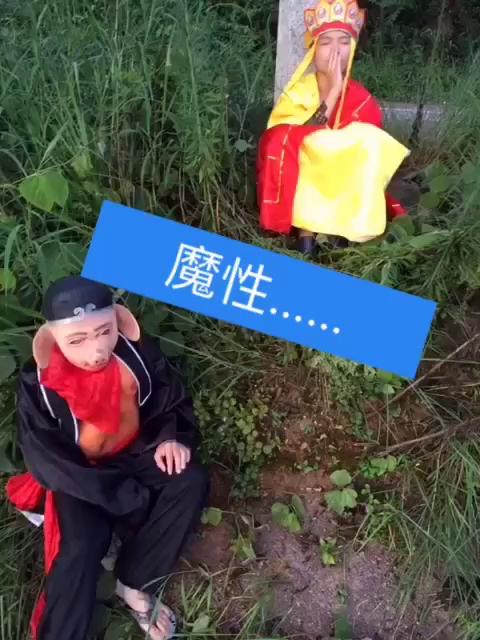 涛叔叔(97)的主页-快手直播