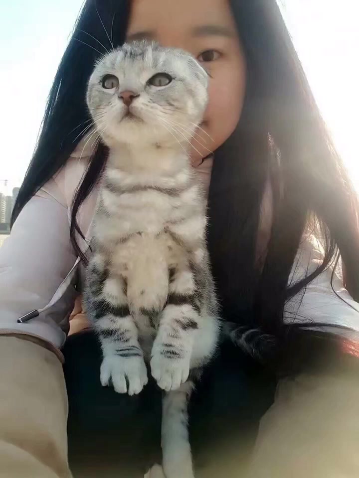 猫猫～honey的主页-快手直播