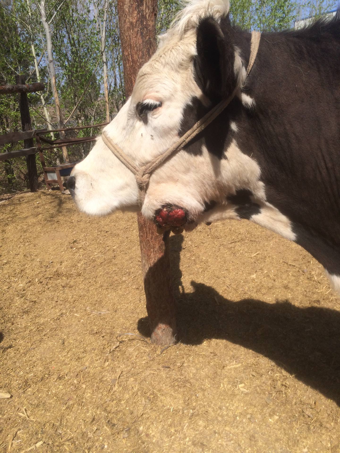 15.7w 播放205 赞                 66 评论              2年前