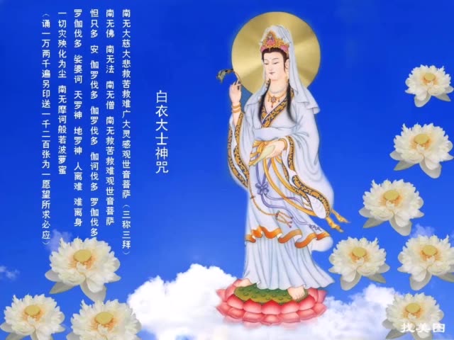 南无救苦救难慈大悲观世音菩萨 697        赞