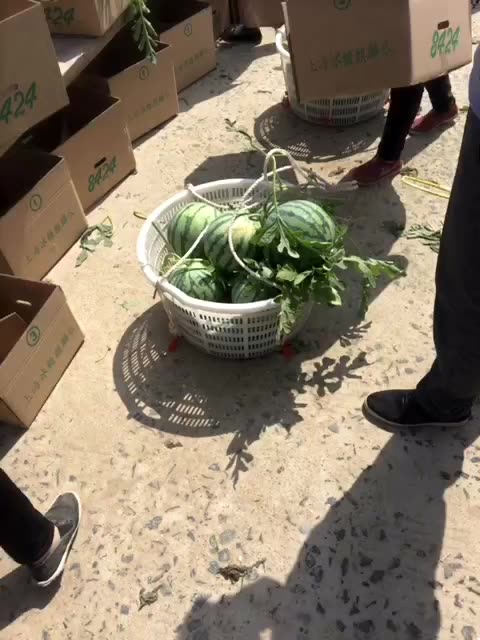 东台爆炸瓜 139       赞                   评论              2年