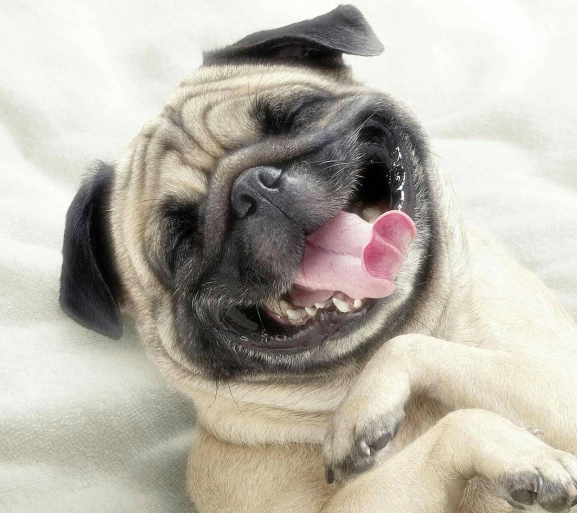 辣椒酱鲨鱼的主页-快手直播