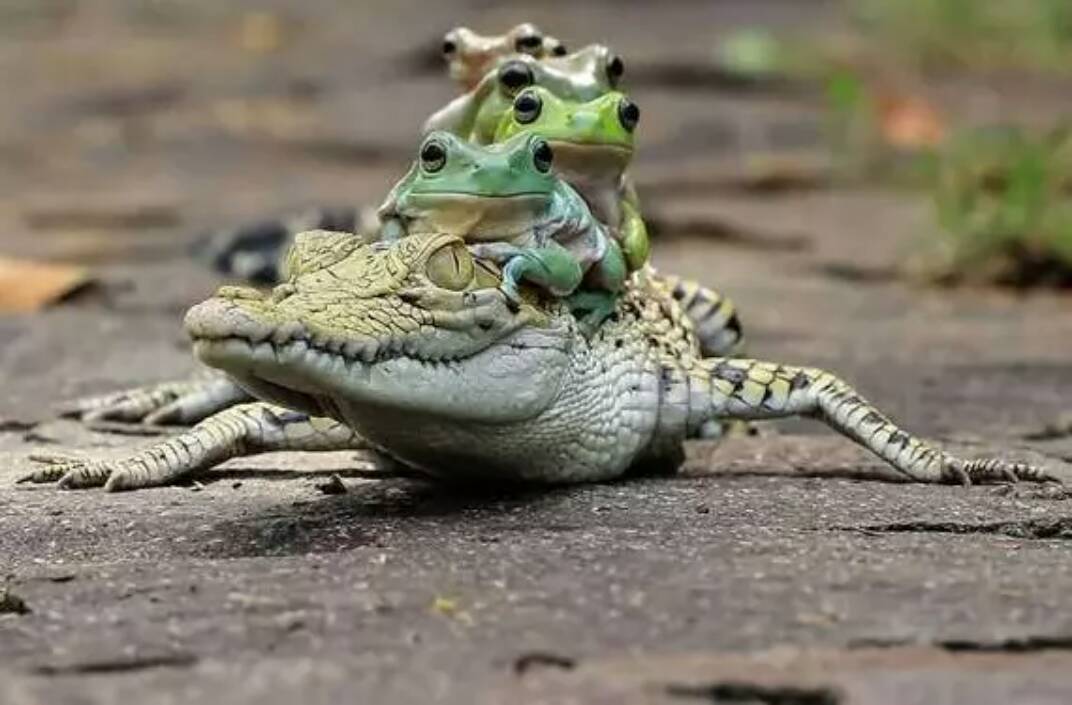 快手,记录世界 记录你