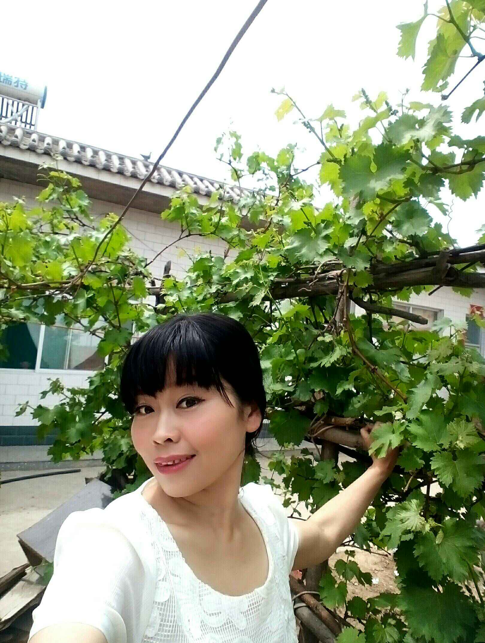 12 14 311 0 秃孑也烦恼10月前 666366 6666 美女 小妮子的命运1年前