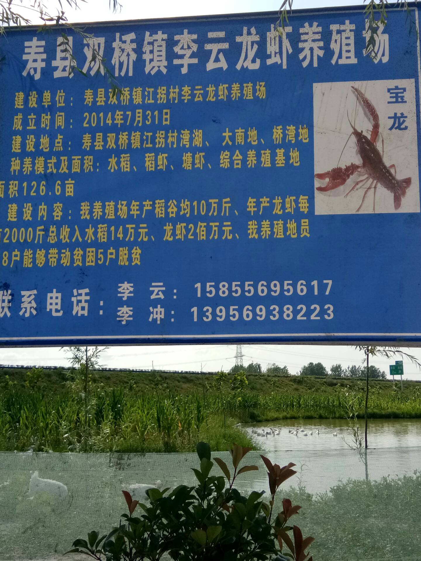 水产养殖基地. - 李云家禽养殖场的快手